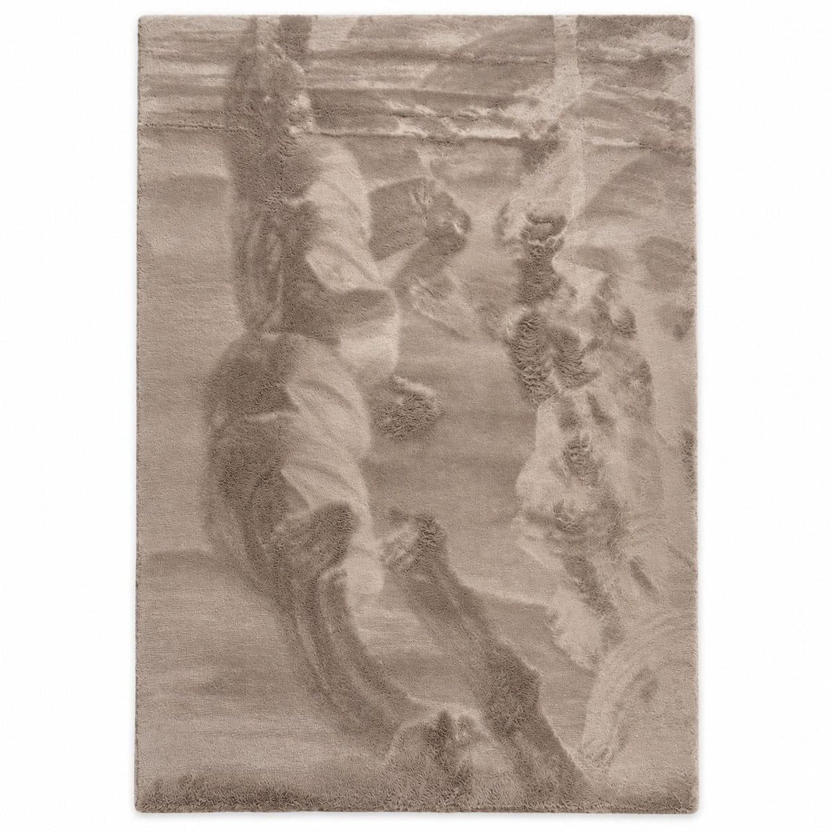 Vloerkleed Rabbit Retangle taupe